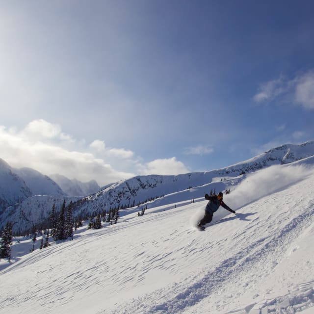 Heli-Skiing photo from February  3, 2025