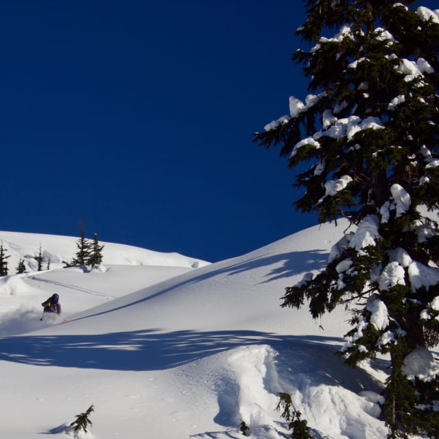 Heli-Skiing photo from February  7, 2025