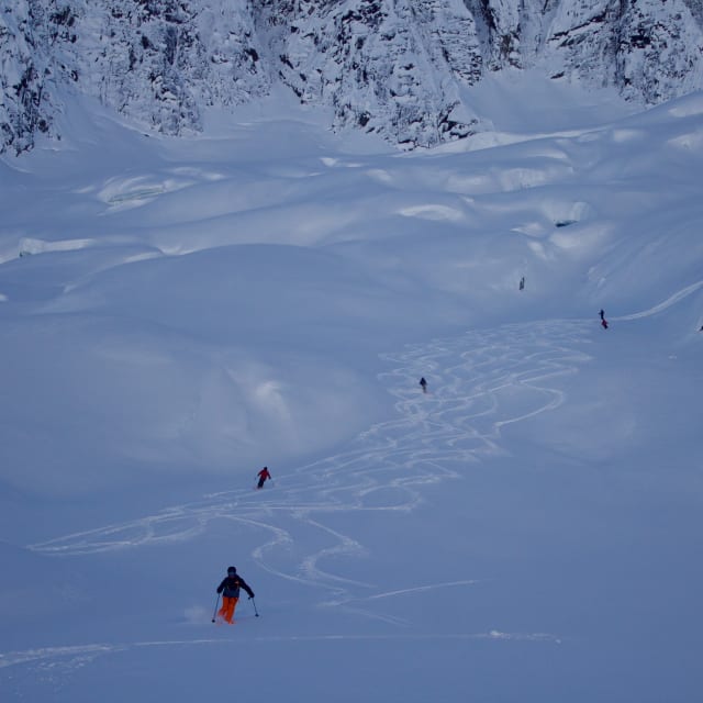Heli-Skiing photo from February  8, 2025