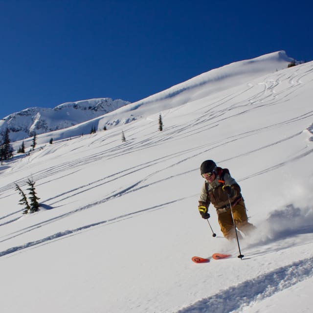 Heli-Skiing photo from February  9, 2025