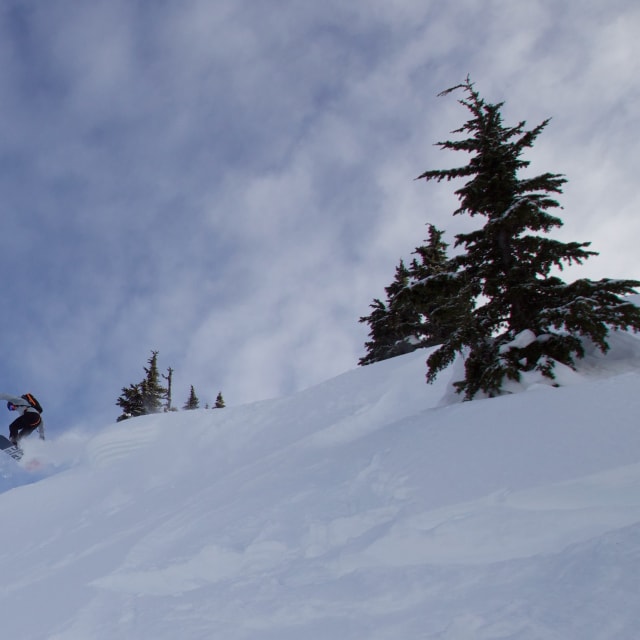 Heli-Skiing photo from February 16, 2025