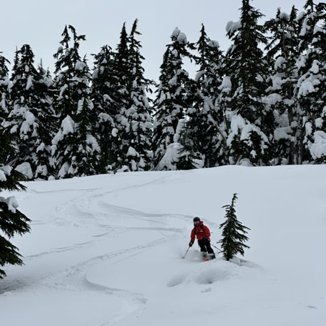 Heli-Skiing photo from February 20, 2025