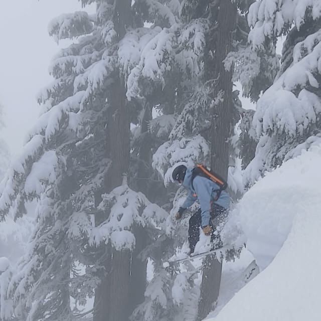 Heli-Skiing photo from February 23, 2025