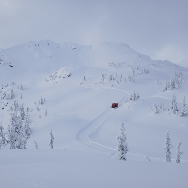 Heli-Skiing photo from February 24, 2025