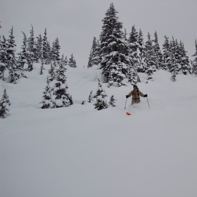 Heli-Skiing photo from February 27, 2025
