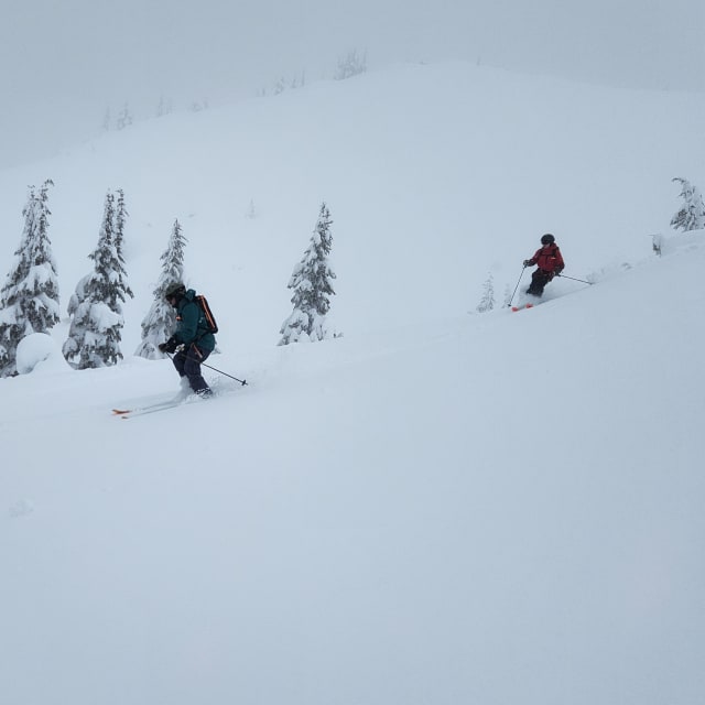 Heli-Skiing photo from February 28, 2025