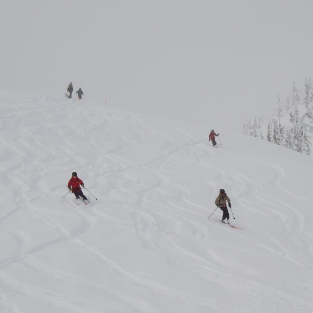 Heli-Skiing photo from March  1, 2025