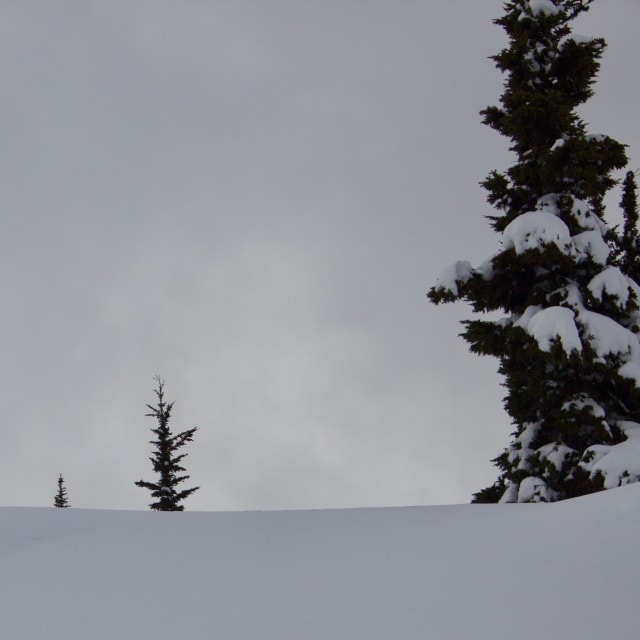 Heli-Skiing photo from March  6, 2025