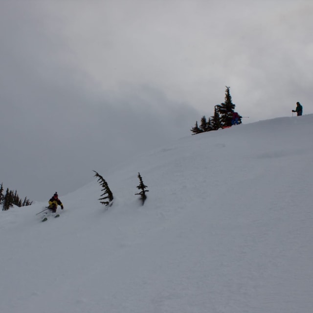 Heli-Skiing photo from March  7, 2025