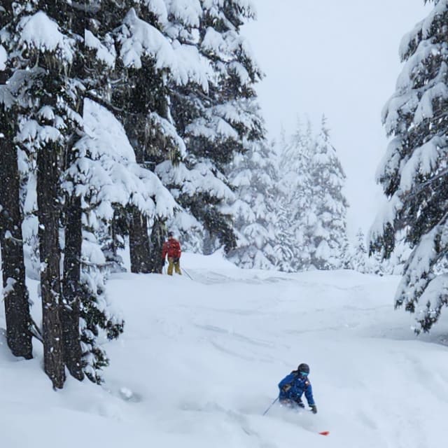 Heli-Skiing photo from March 10, 2025
