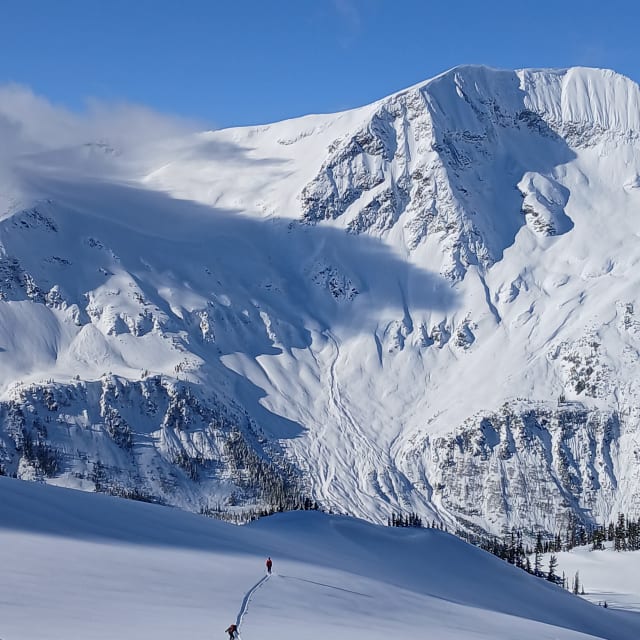 Heli-Skiing photo from March 11, 2025