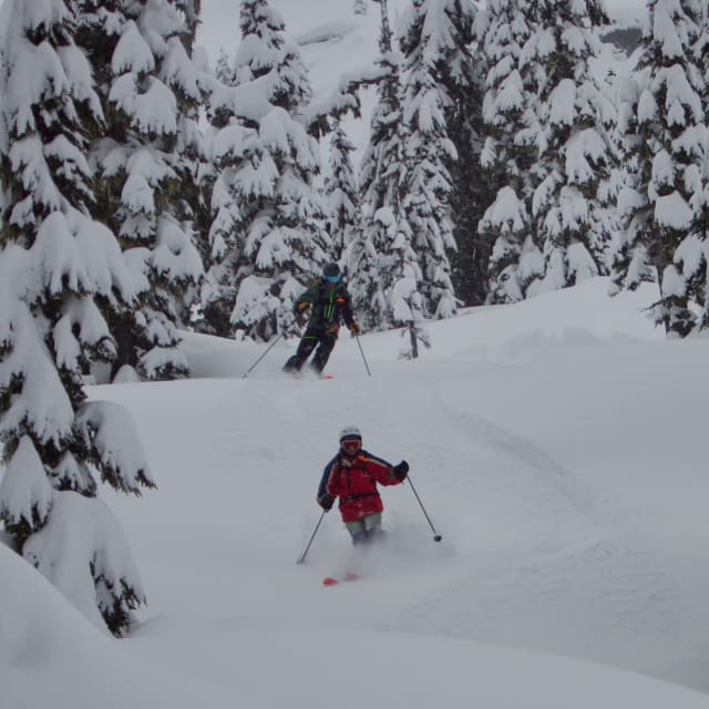 Heli-Skiing photo from March 13, 2025