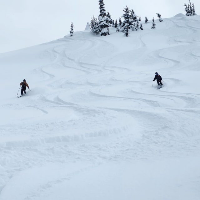 Heli-Skiing photo from March 14, 2025