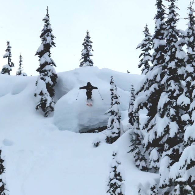 Heli-Skiing photo from March 16, 2025