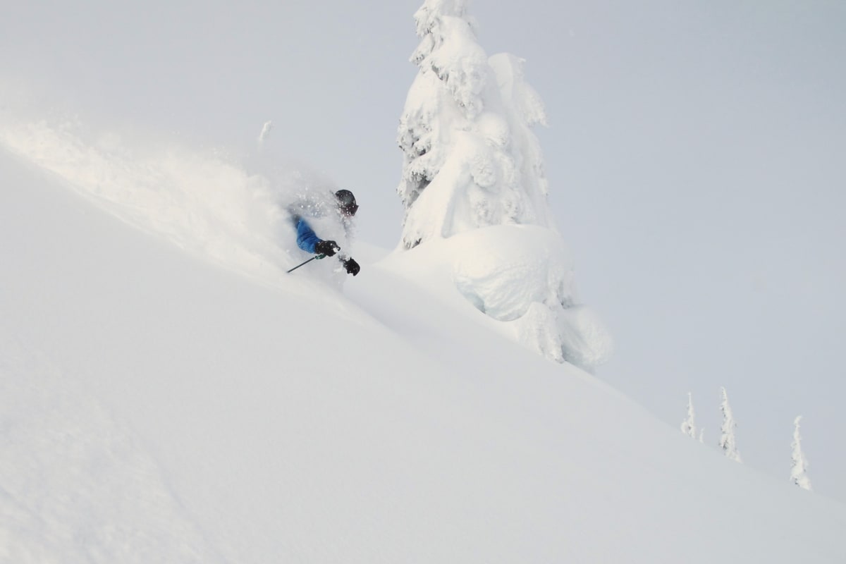Skier_in_Trees_Disappearing_in_Powder_9