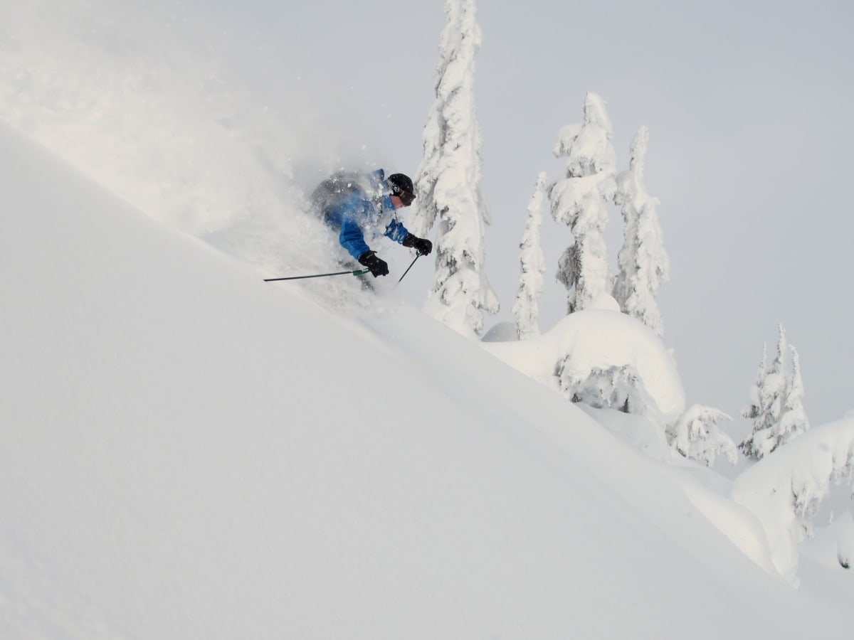 Skier_in_Trees_Disappearing_in_Powder_14