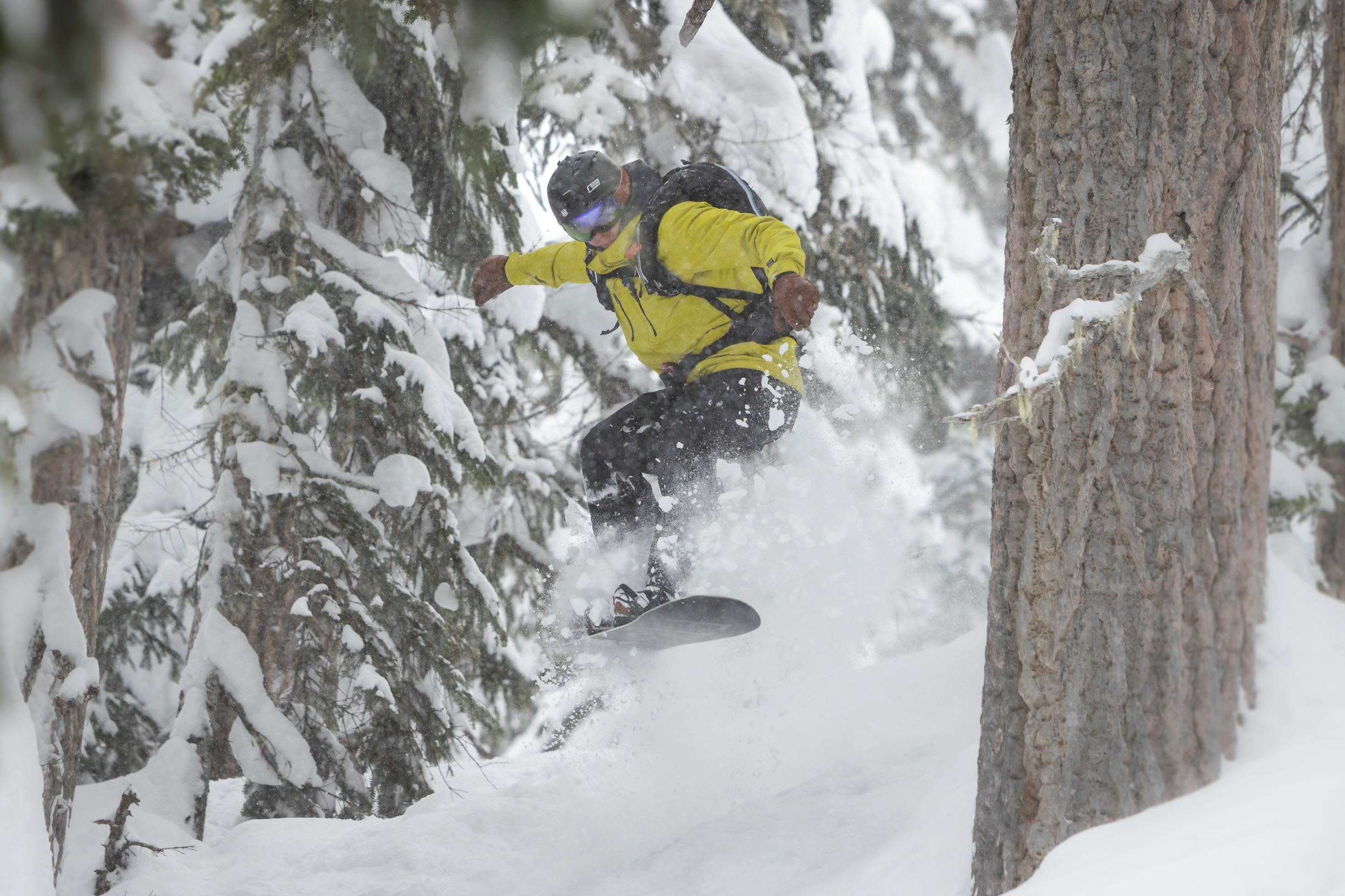 Heli Boarding in the trees