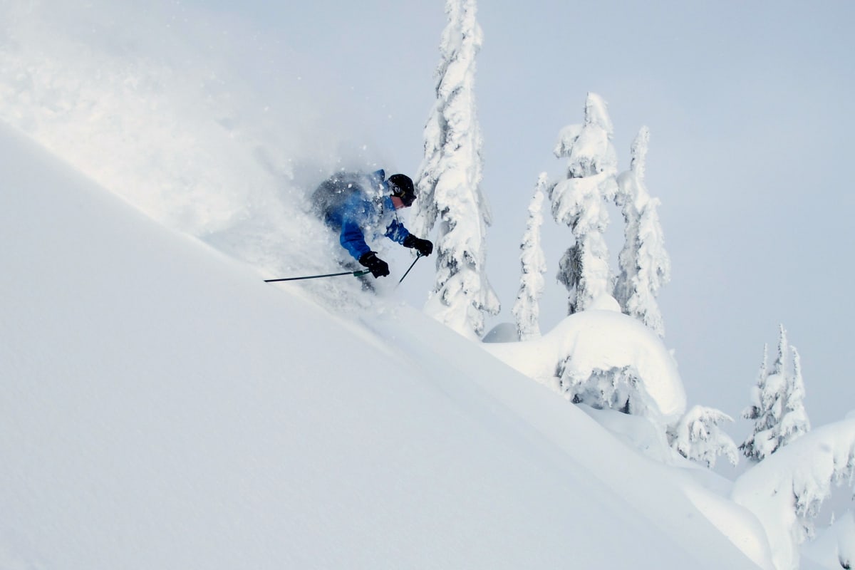 Peak Season