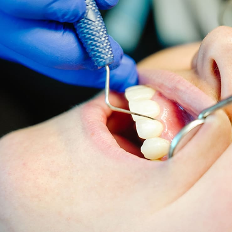 Regular dentist appointments are key to the comfort and longevity of your smile.