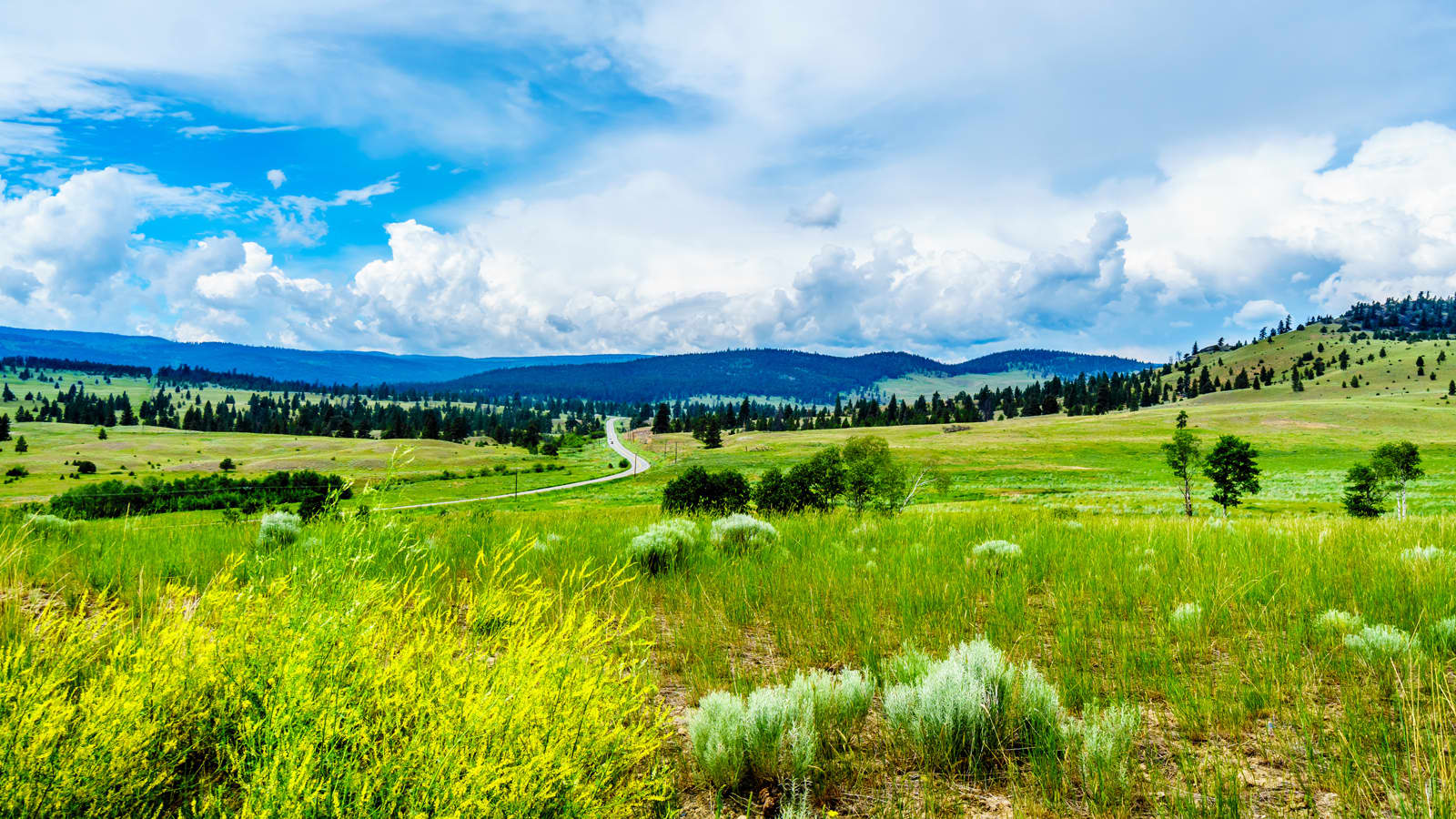 Nicola Valley
