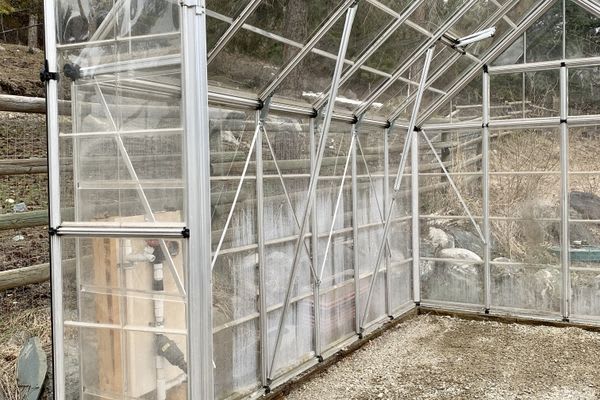Greenhouse Renovation 