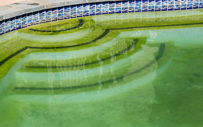 How to Maintain an Algae-Free Pool Kelowna Homeowners Will Enjoy
