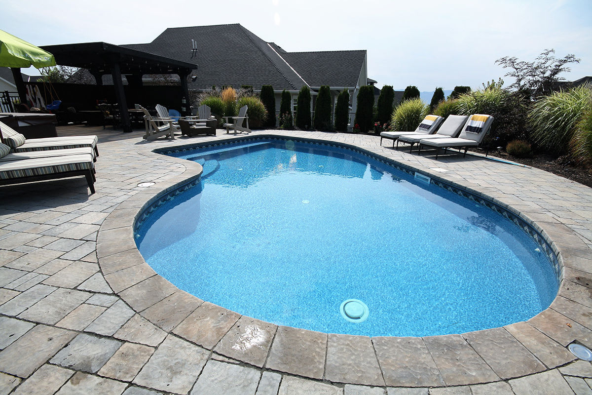 If you want your pool to be clean and clear of algae, what are your options?
