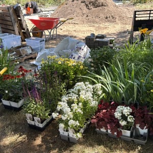 RISE Memorial Gardens