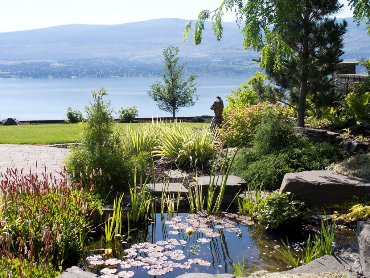 This feng shui-inspired garden design brings balance through natural stone, flowing water, and curated plant life.
