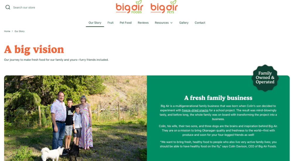 Big Air website