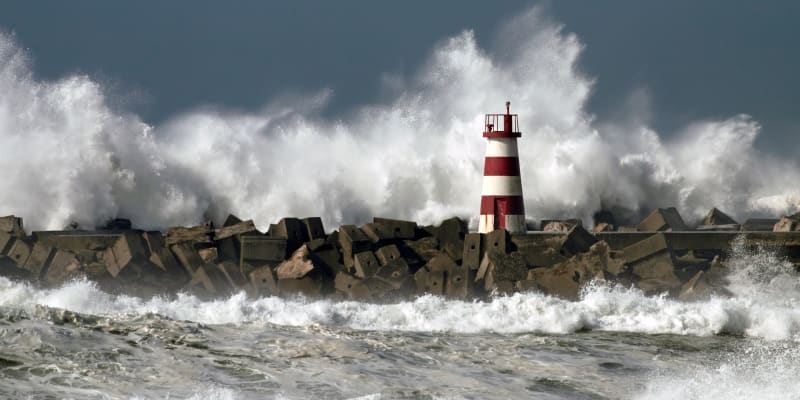 Fostering Economic Resilience: How Canadian Business Can Thrive in Hostile Waters