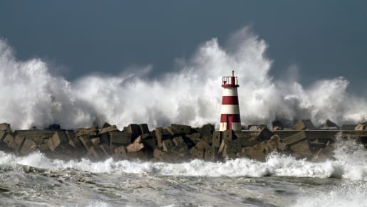 Fostering Economic Resilience: How Canadian Business Can Thrive in Hostile Waters