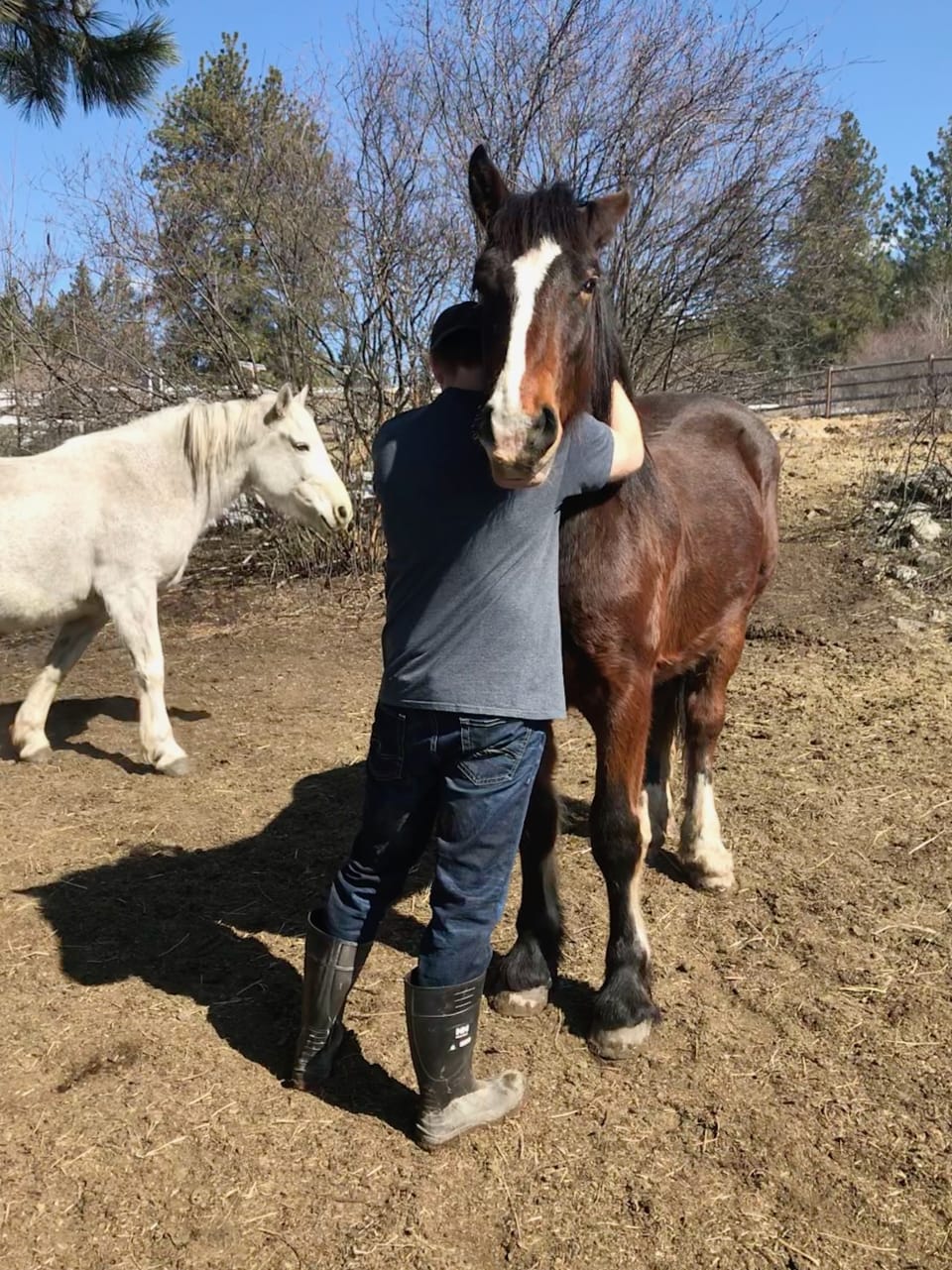 When you're working from home, there aren't any rules how big your "office pet" has to be. I find horses great therapy animals. - James