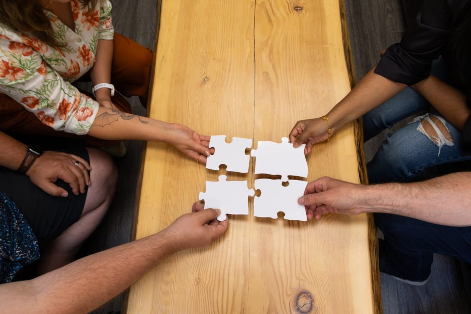 software integration puzzle piece metaphor