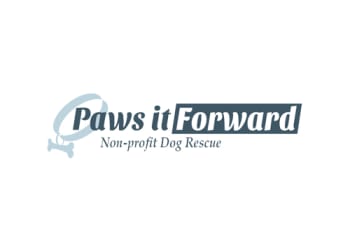Paws it Forward