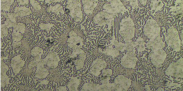  High Chrome White Iron: How Microstructure and Heat Treatment Control Wear Resistance Unicast Wear Parts